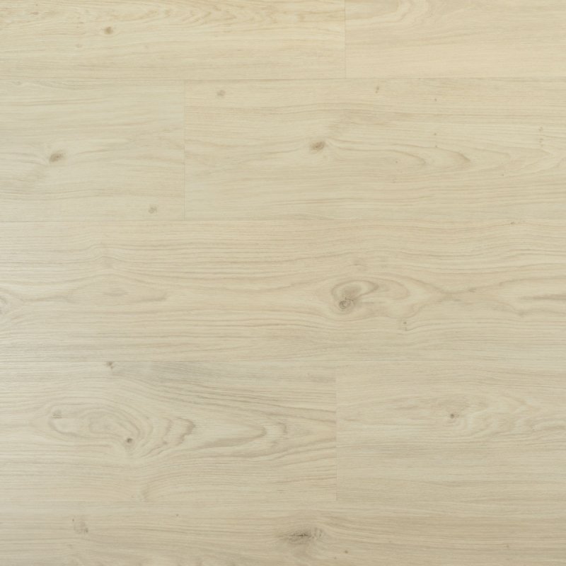 Douwes Dekker Ambitieus riante plank Cheesecake
