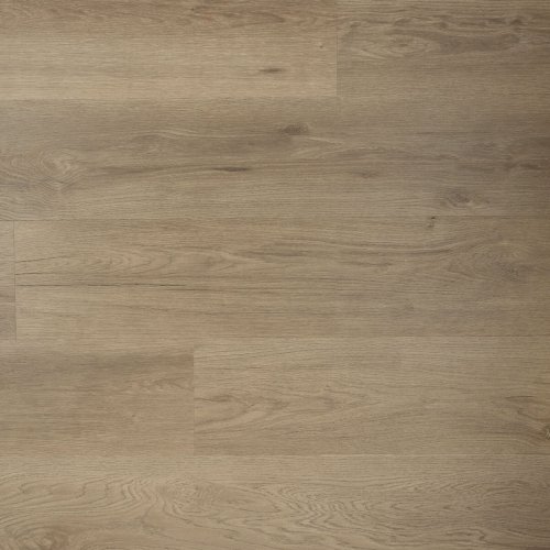Douwes Dekker Ambitieus riante plank Spekkoek