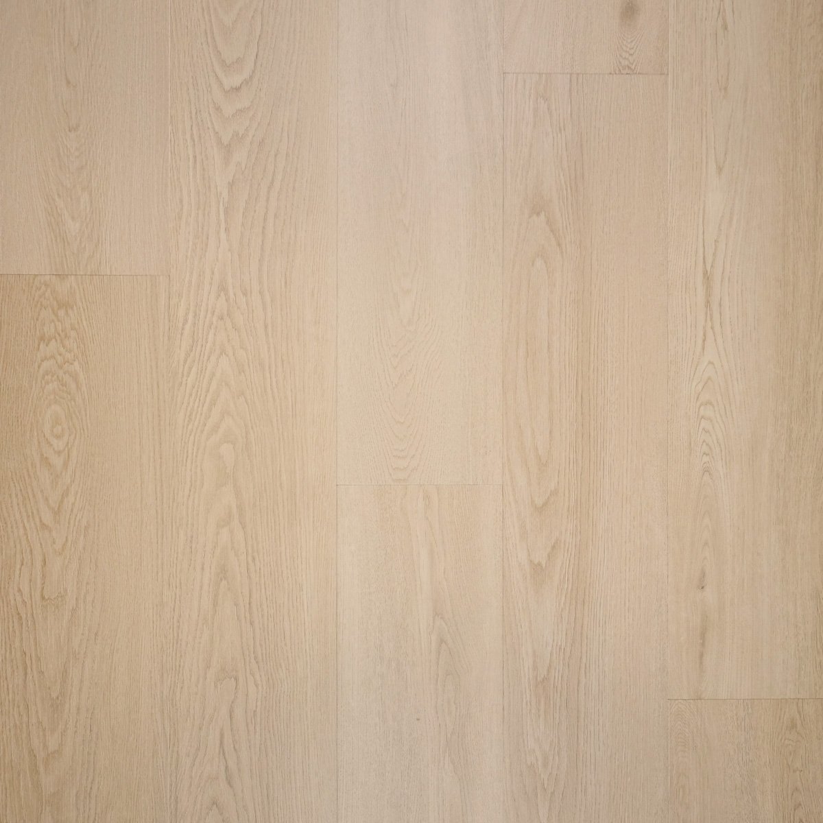 Douwes Dekker Nieuwe-oogst plank Abrikoos