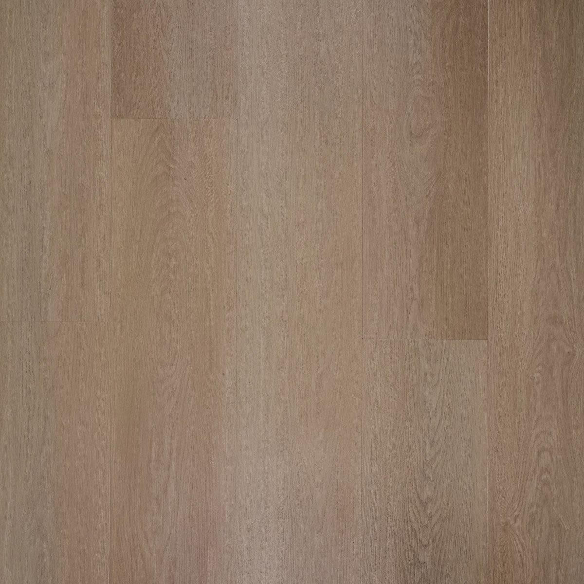 Douwes Dekker Nieuwe-oogst plank Papaja