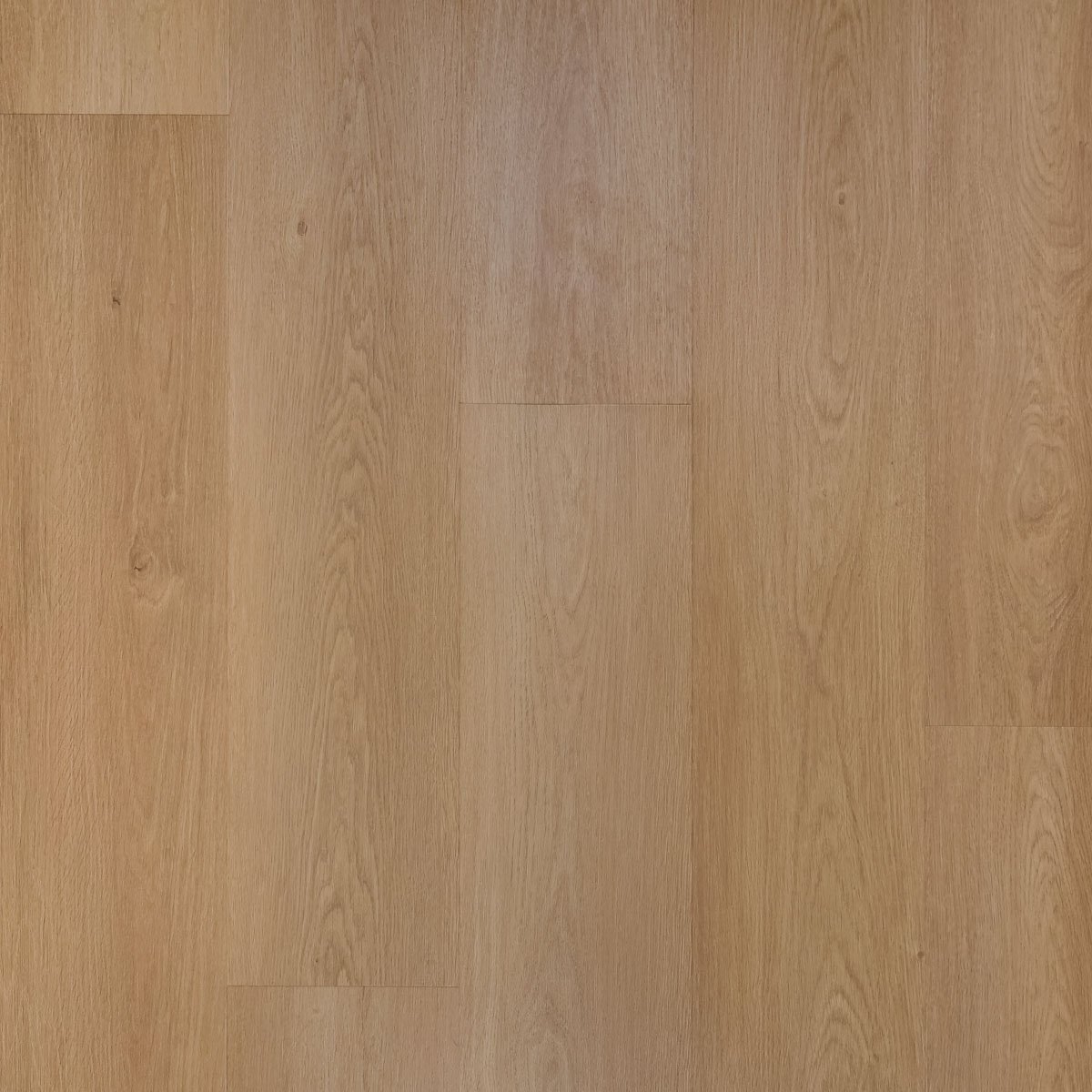 Douwes Dekker Nieuwe-oogst plank Perzik