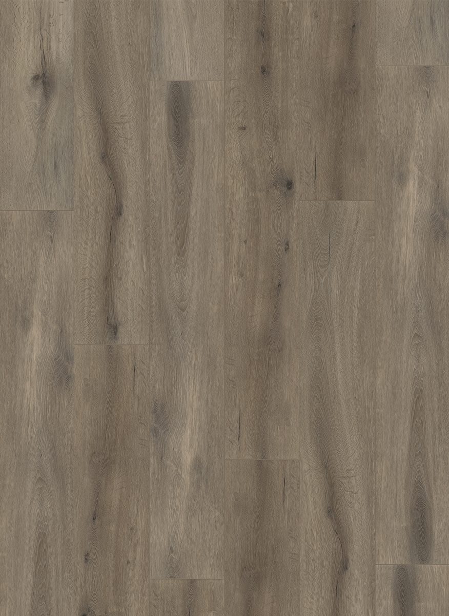 Gelasta Callisto 5105