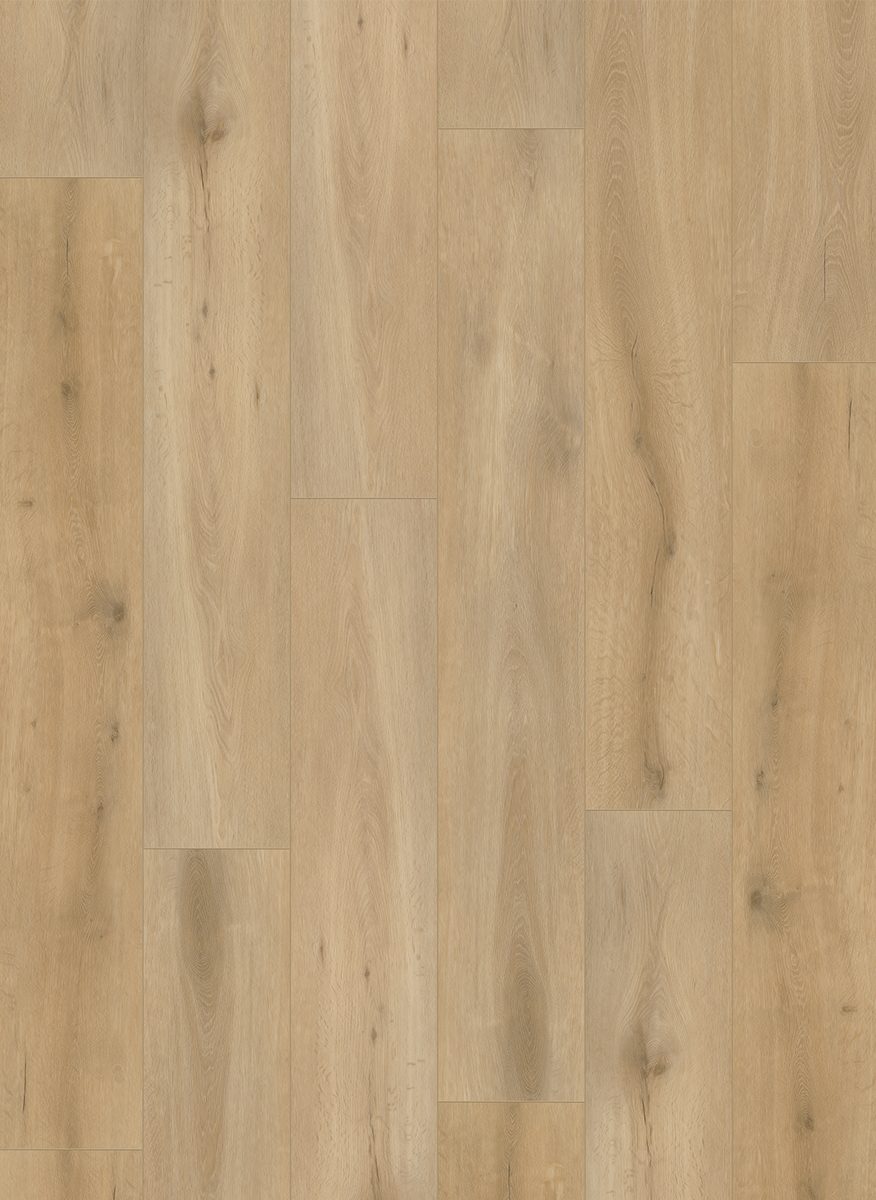 Gelasta Callisto 5501
