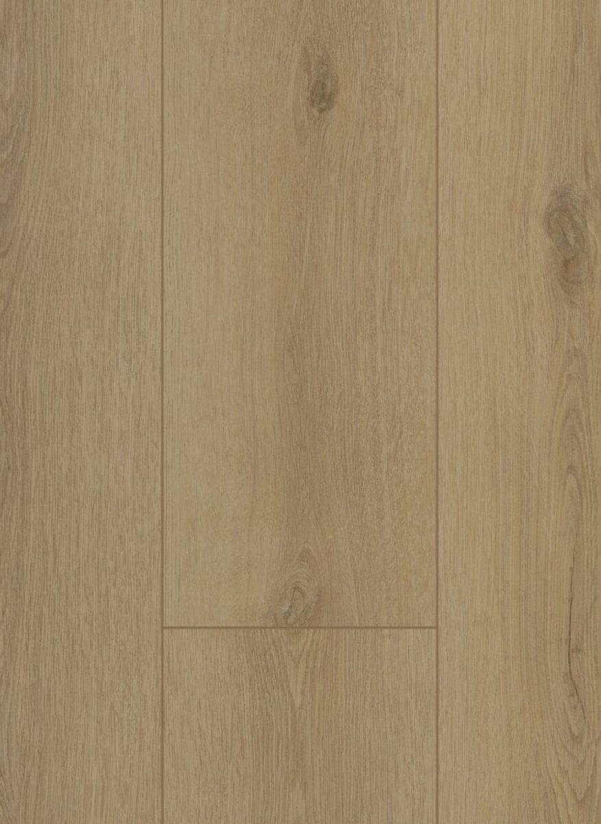 Gelasta Firmfit 6501