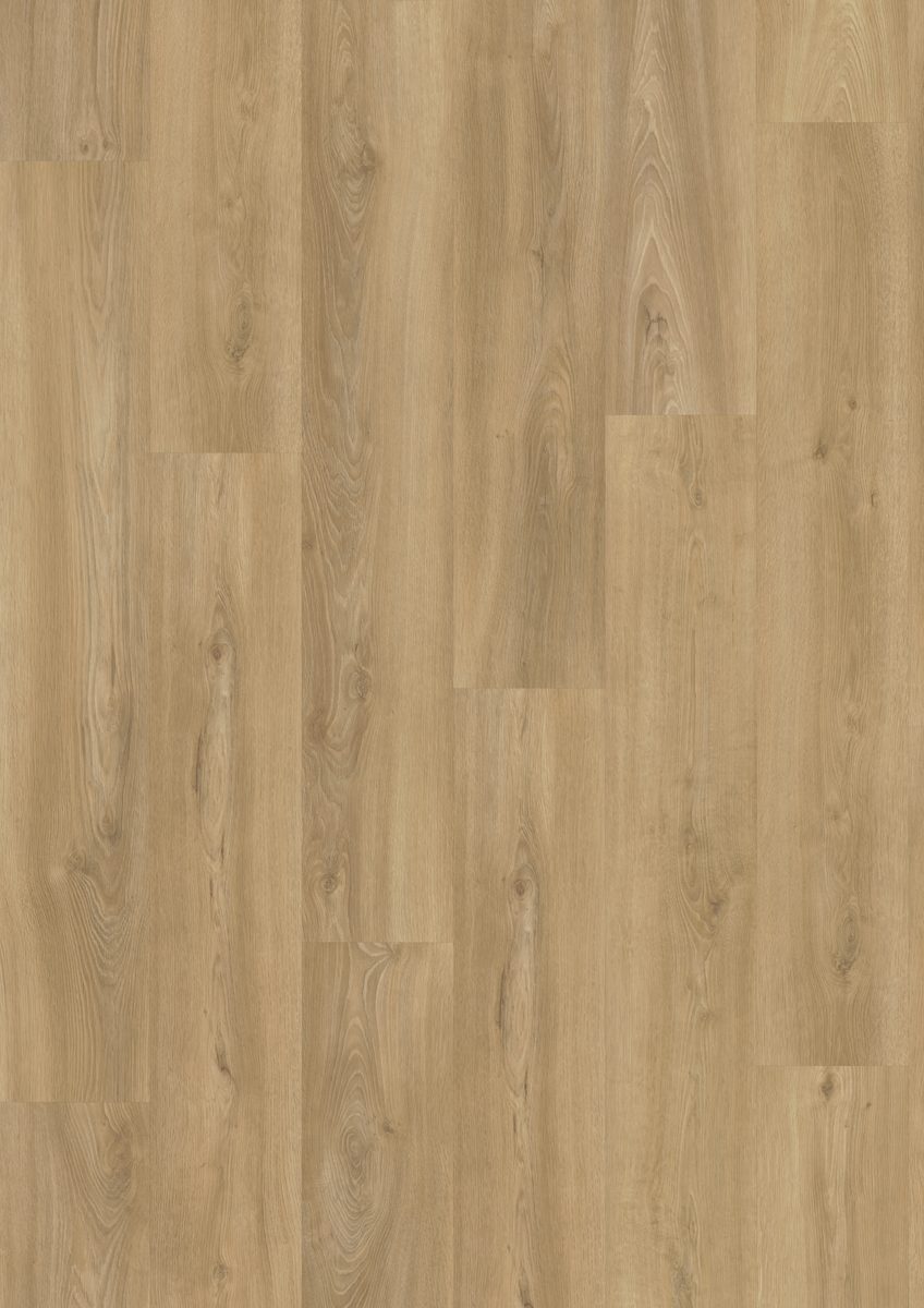 Vivafloors Eiken 3510 Clickvariant