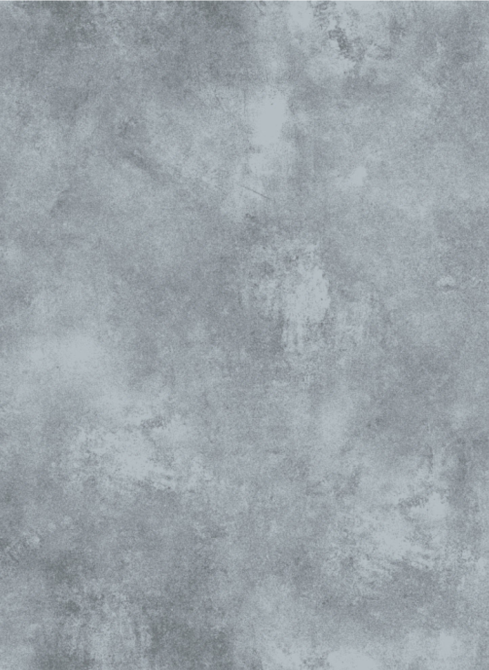 Vitality293BetonLichtgrijs